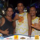 Bloco Skol Folia